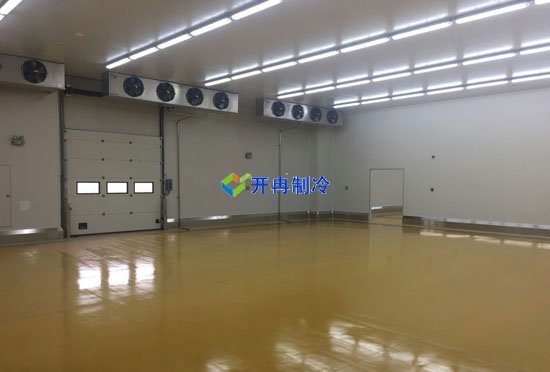 食品廠建100㎡包子速凍庫（食品冷凍庫）建設(shè)造價(jià)多少