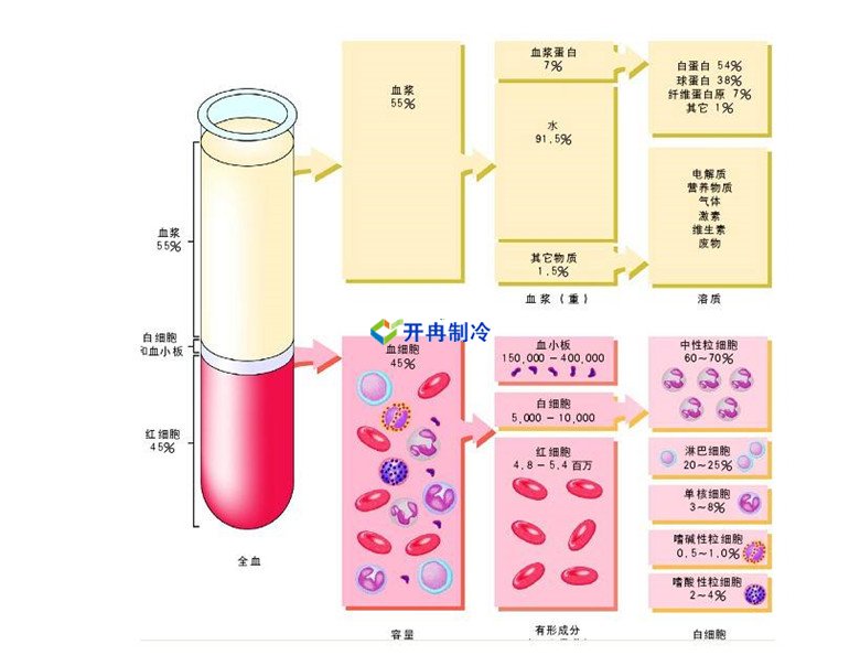 -30℃～-80℃血漿蛋白低溫冷凍庫規范，冷庫安裝價格